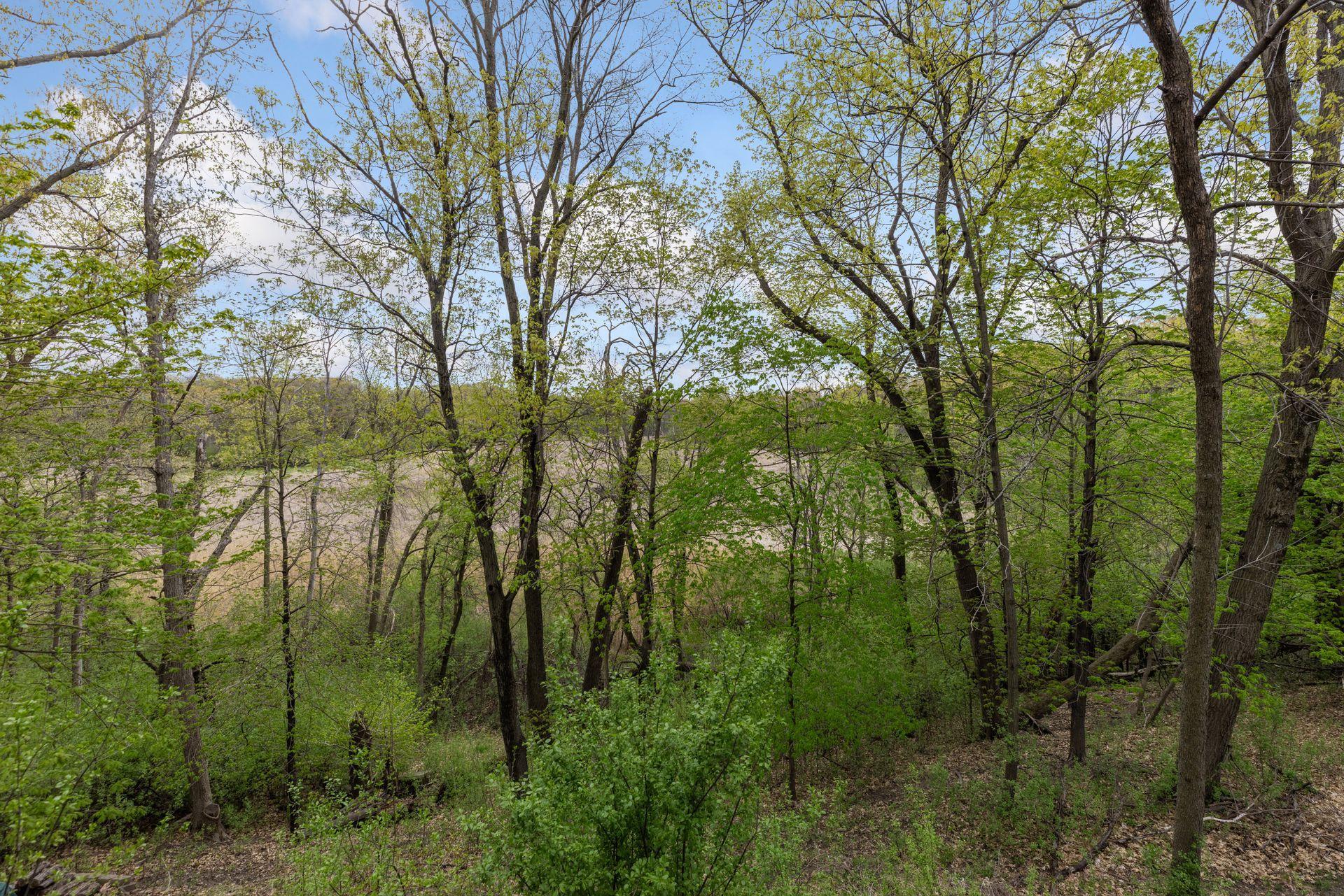 1731 Oakways Street - 0.81 acres