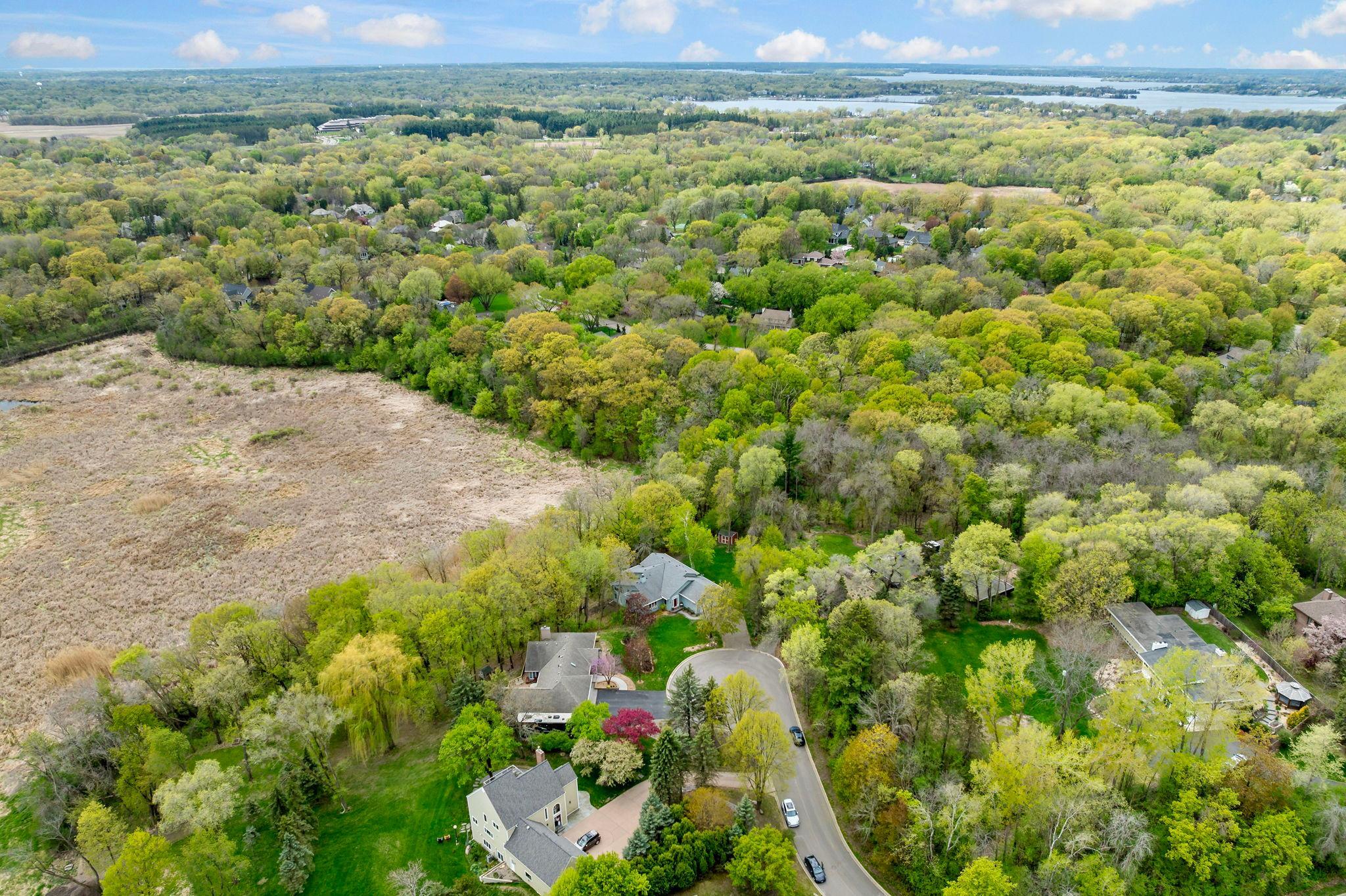 9-web-or-mls-1731 Oakways St Wayzata MN_0009.jpg
