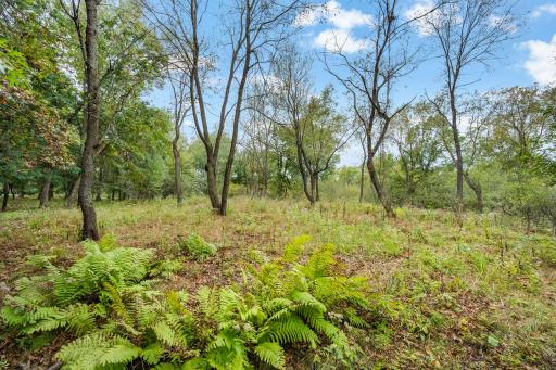 561X Heather Ridge Court, Shoreview, MN 55126