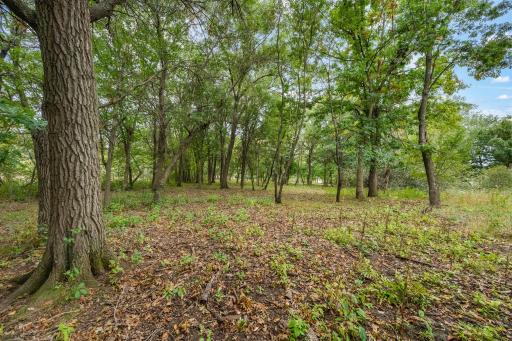 561X Heather Ridge Court, Shoreview, MN 55126