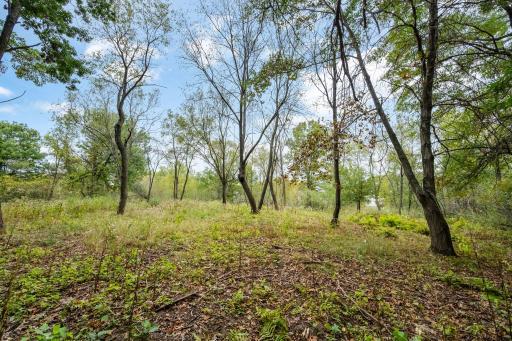561X Heather Ridge Court, Shoreview, MN 55126