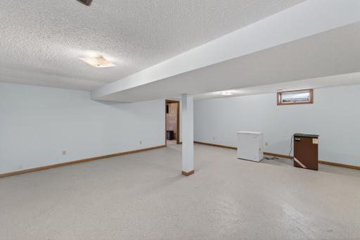 Lower-Level Family Room