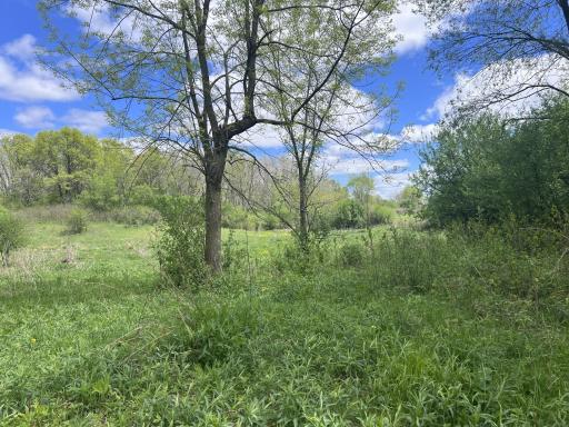 tbd County Line Avenue, Clear Lake, WI 54005