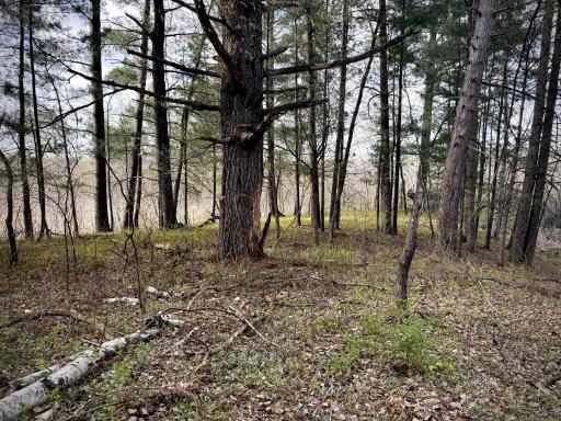 tbd County Line Avenue, Clear Lake, WI 54005