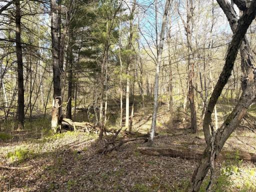tbd County Line Avenue, Clear Lake, WI 54005