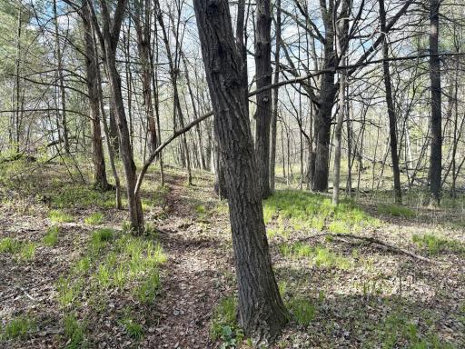 tbd County Line Avenue, Clear Lake, WI 54005