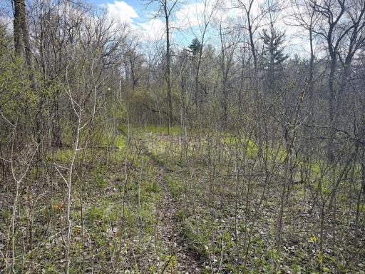 tbd County Line Avenue, Clear Lake, WI 54005