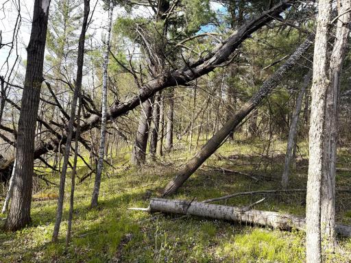 tbd County Line Avenue, Clear Lake, WI 54005
