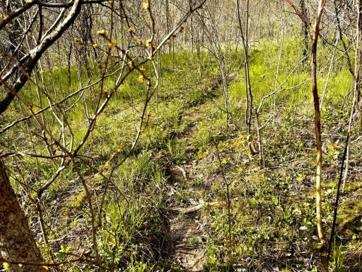 tbd County Line Avenue, Clear Lake, WI 54005