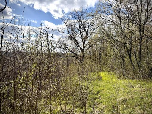 tbd County Line Avenue, Clear Lake, WI 54005