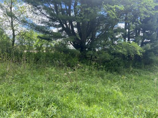 tbd County Line Avenue, Clear Lake, WI 54005
