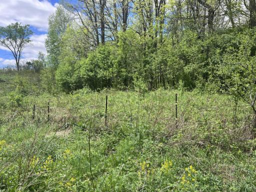 tbd County Line Avenue, Clear Lake, WI 54005