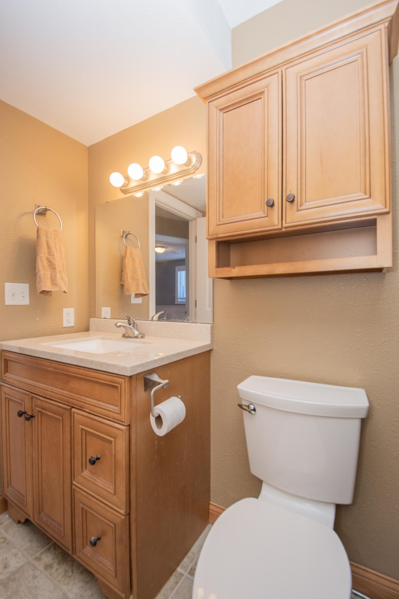 Lower Level Bathroom