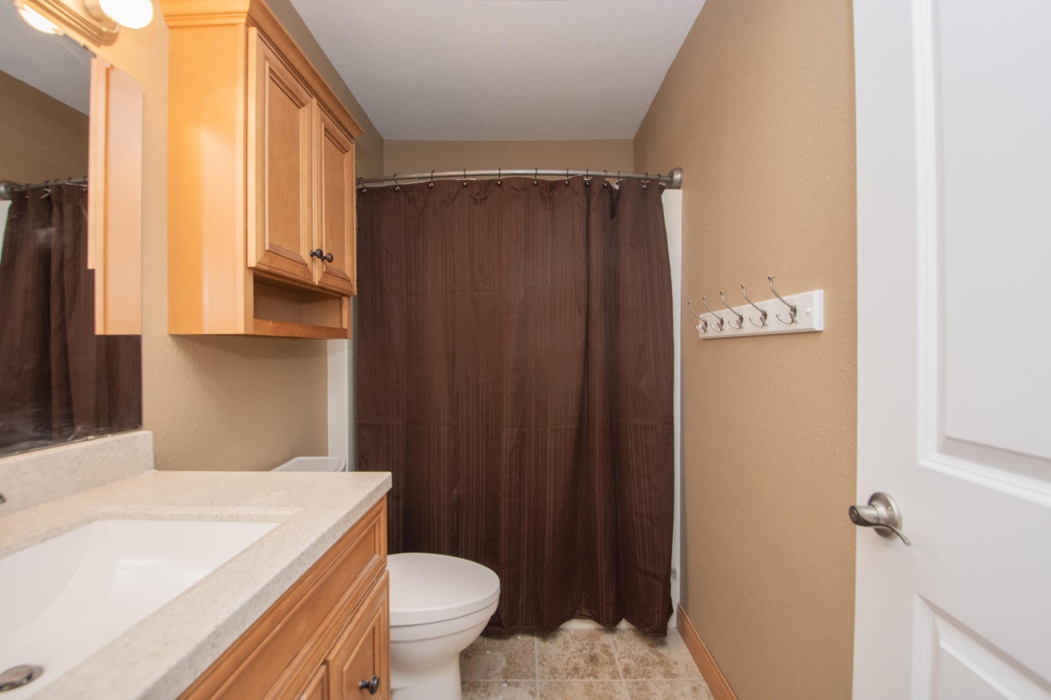 Lower Level Bathroom