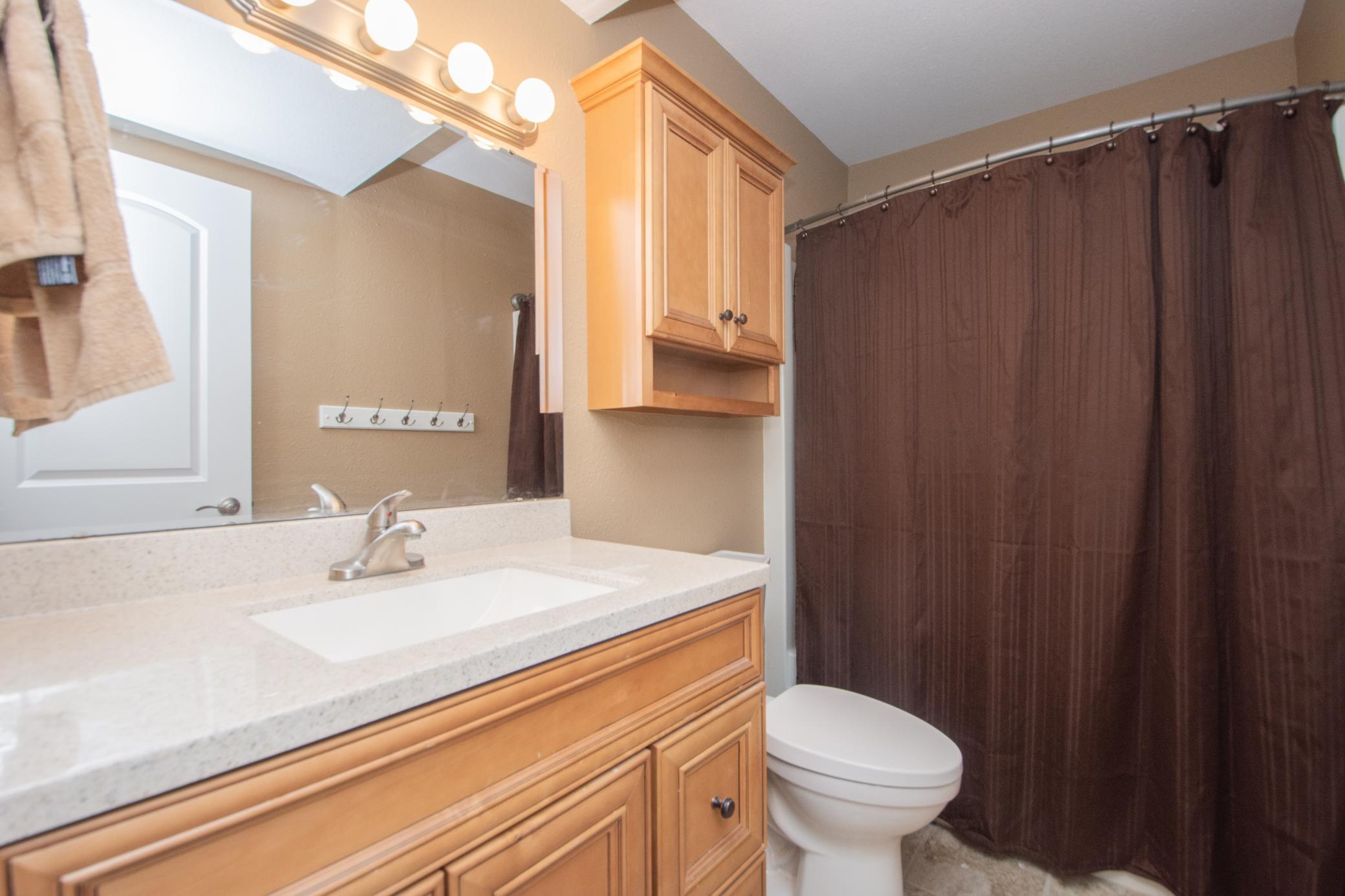 Lower Level Bathroom