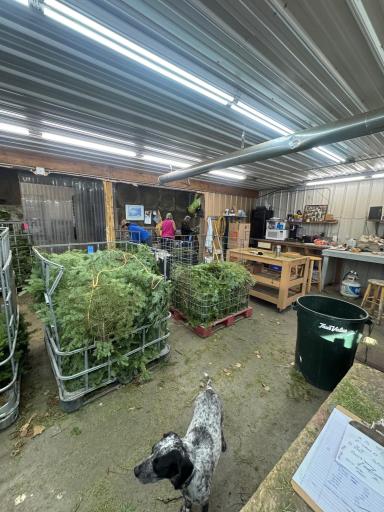 2585* State 200 NE, Remer, MN 56672