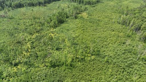 Franklin 240 acres.JPG