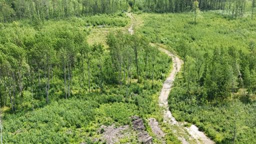 17 E County Road, Mizpah, MN 56660