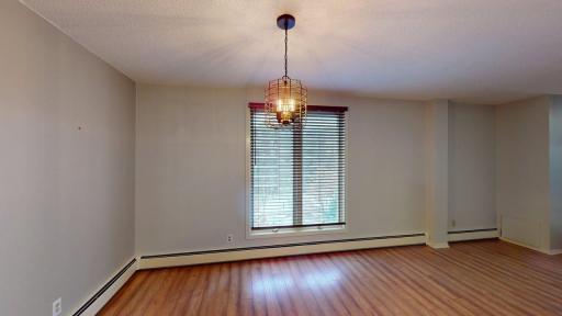 317 6th Avenue SW, 501, Rochester, MN 55902