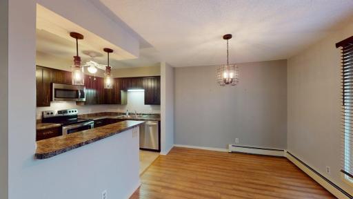 317 6th Avenue SW, 501, Rochester, MN 55902