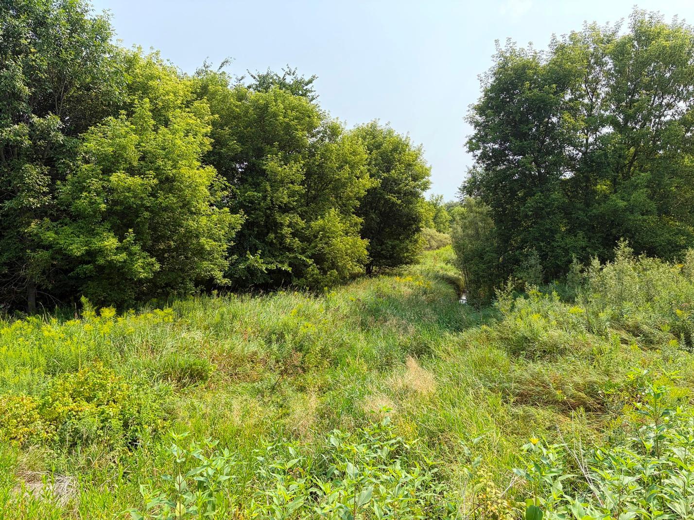 Property photo for TBD Lands along 160th Ave & 315th St, Glenwood City, WI 54013