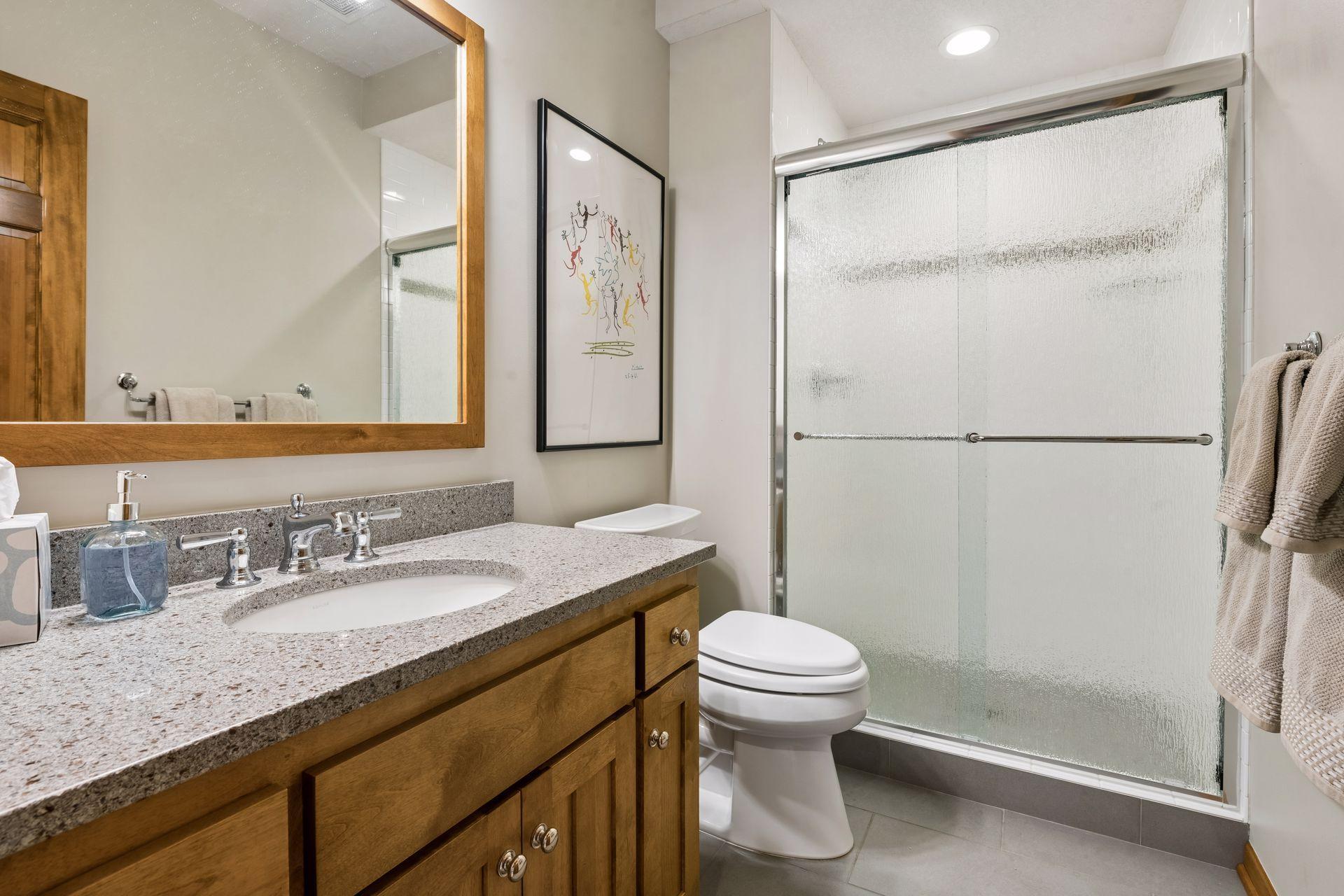 Lower level hall bath immediately adjacent to bedroom. Updated with glass shower door door, granite tops.