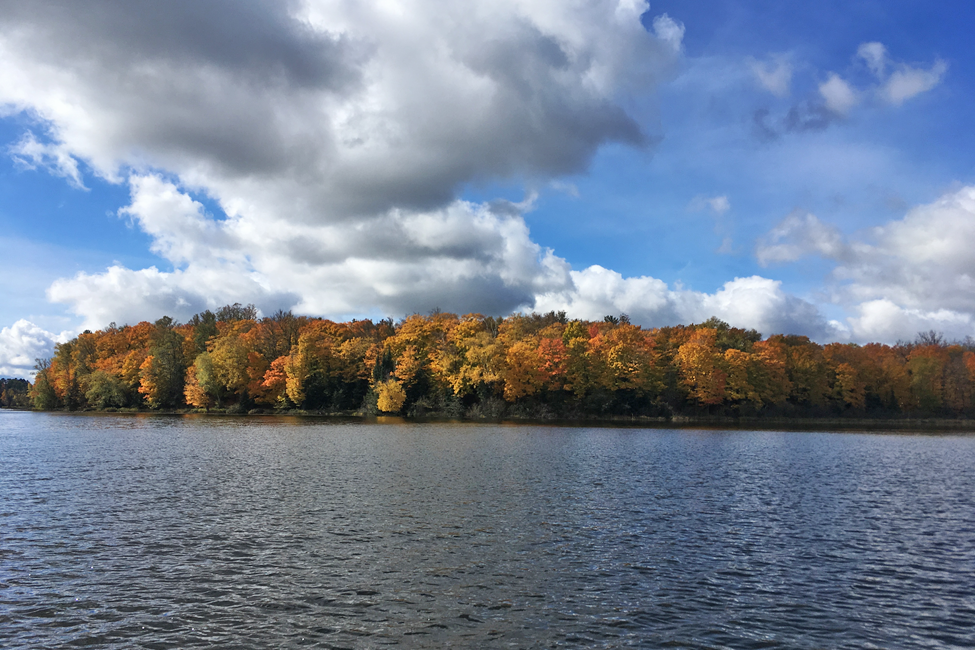 46-Itasca-50-Fall-2.png