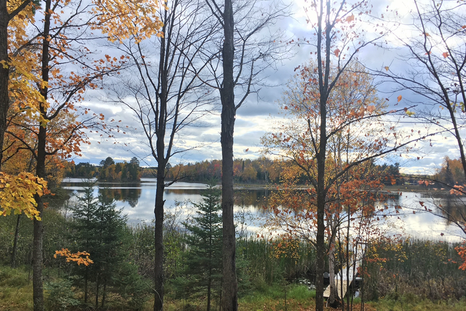 45-Itasca-50-Fall-1.png