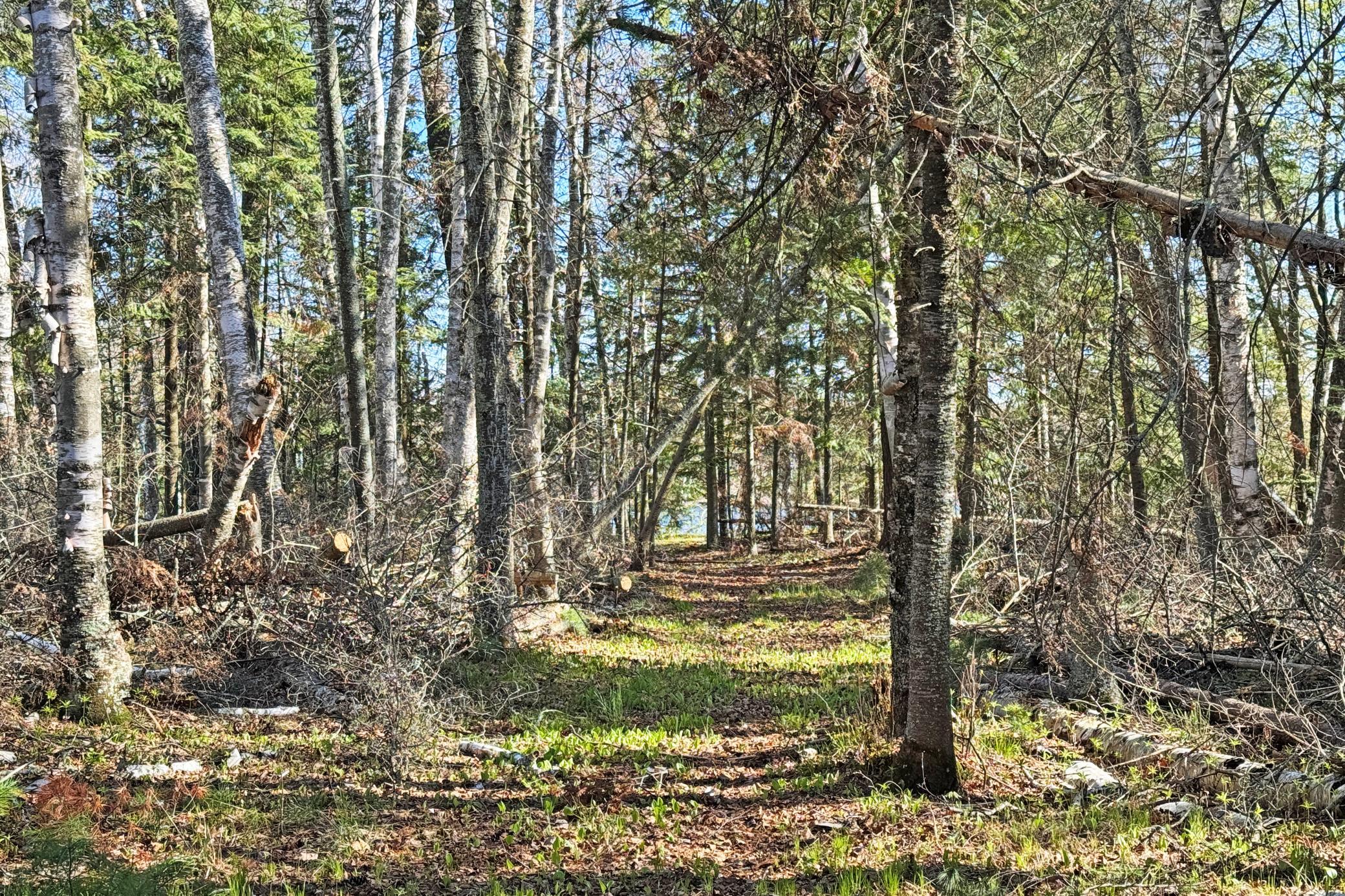 46-Itasca-50-Land-30.JPG