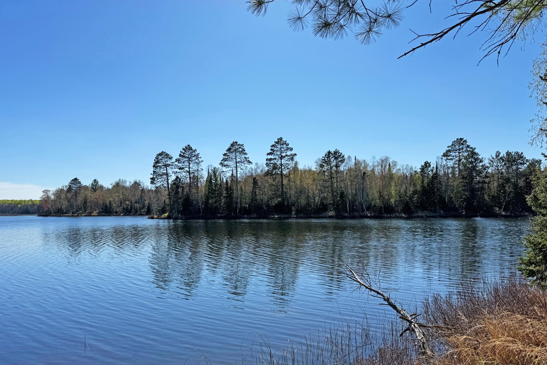 48-Itasca-50-Land-32.JPG