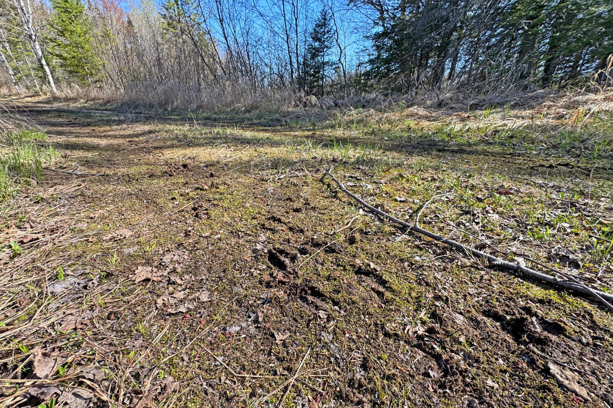19-Itasca-50-Land-03.JPG