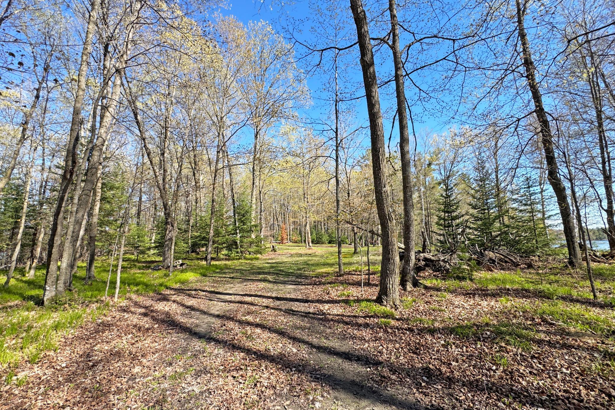 31-Itasca-50-Land-15.JPG