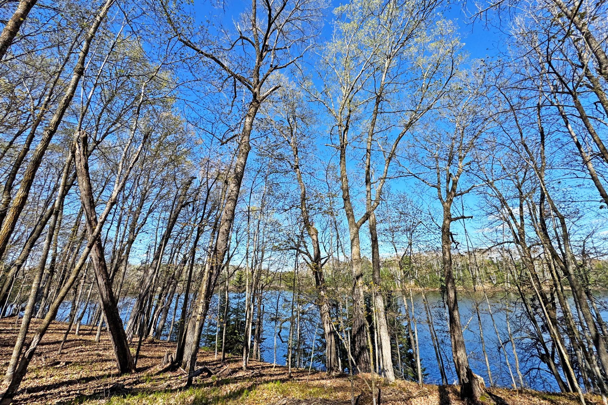 52-Itasca-50-Land-36.JPG