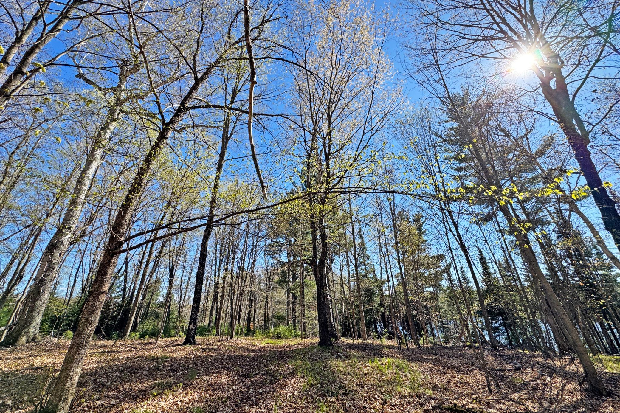 42-Itasca-50-Land-26.JPG