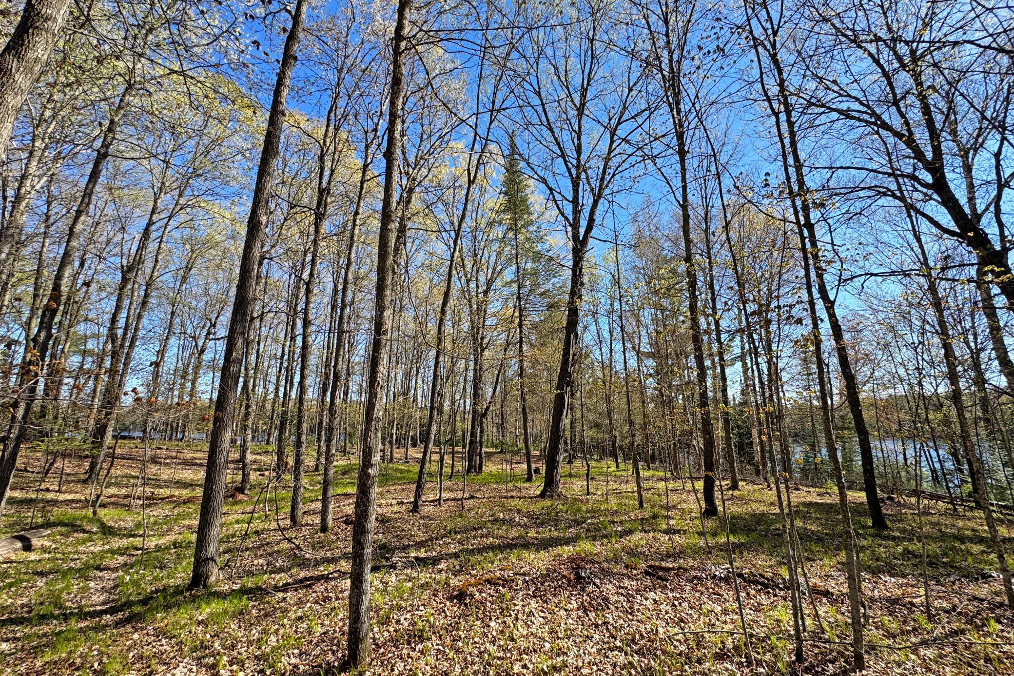 41-Itasca-50-Land-25.JPG