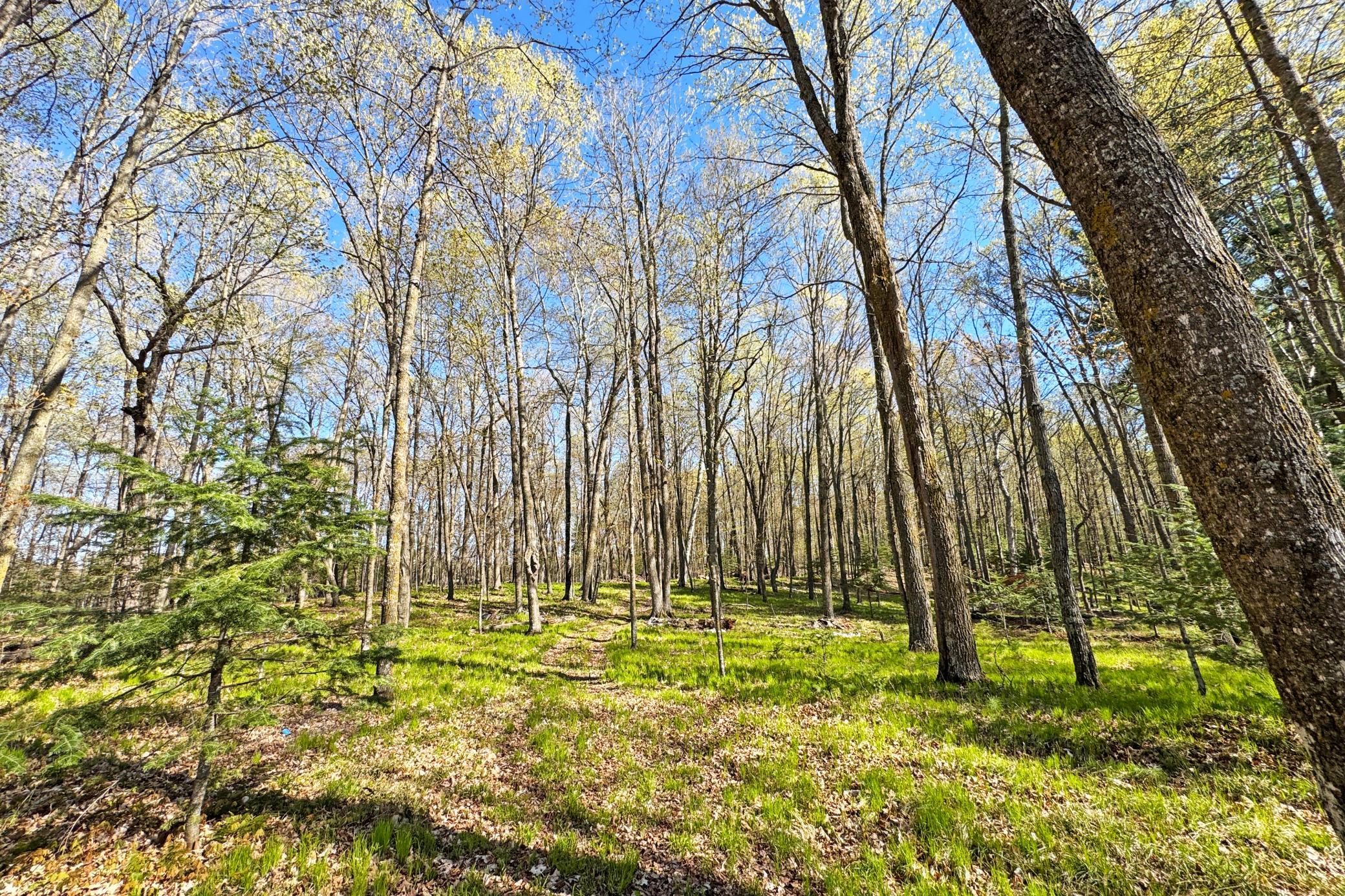 36-Itasca-50-Land-20.JPG