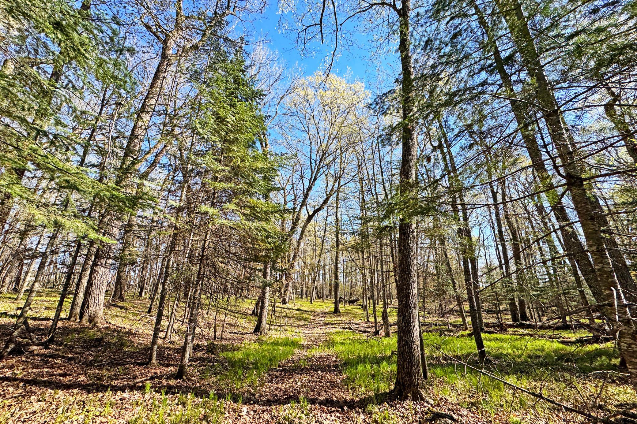 40-Itasca-50-Land-24.JPG