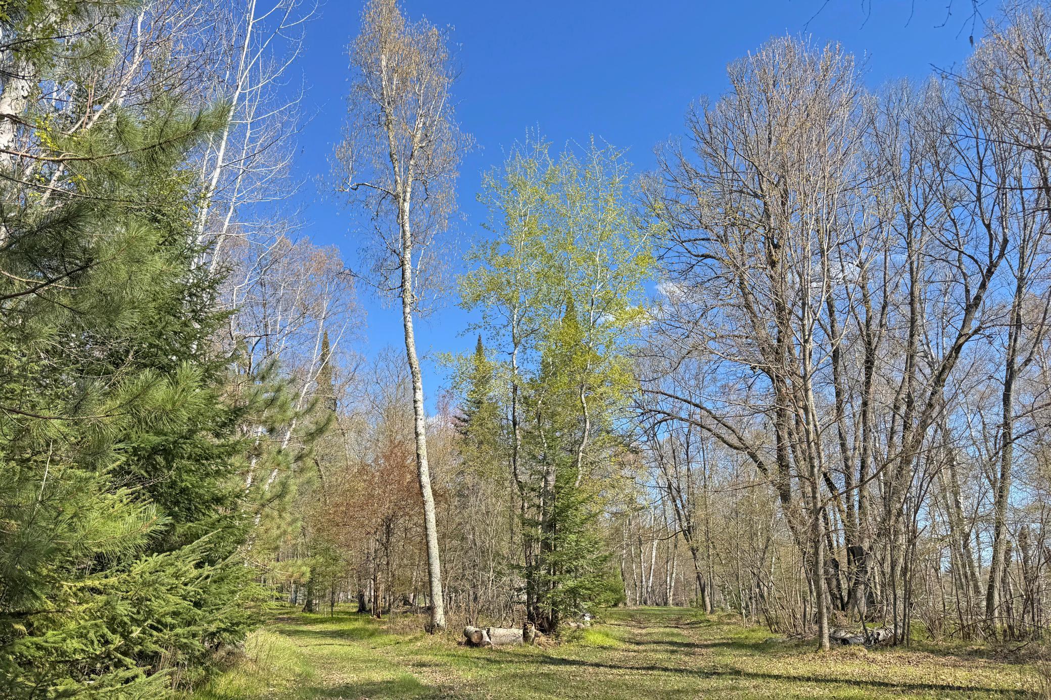 20-Itasca-50-Land-04.JPG