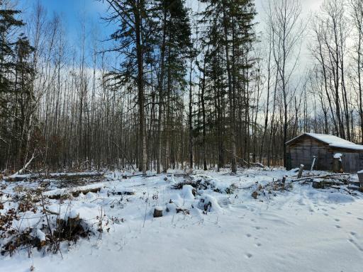 3670 County Road 97, International Falls, MN 56649