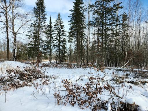 3670 County Road 97, International Falls, MN 56649