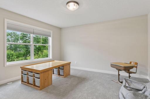 14217 Packard Street NE, Ham Lake, MN 55304