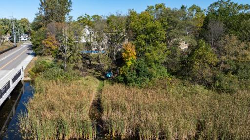 Pathway to the lake.
