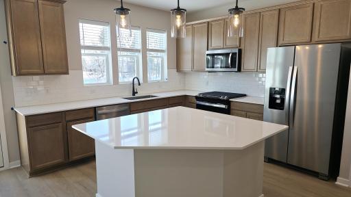 6276 Larkspur Lane, Corcoran, MN 55374