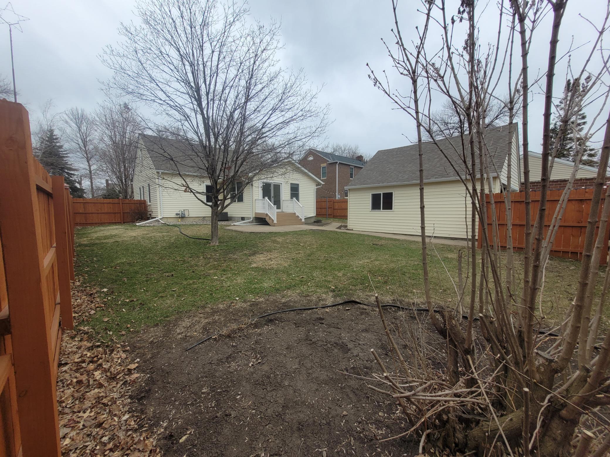 Backyard Garden Space and Lilac