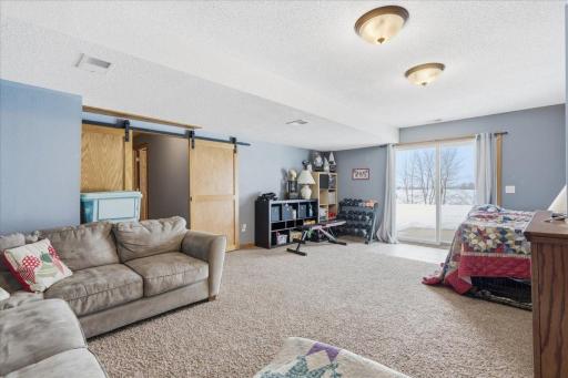 Walk-out lower level! Nice family room!