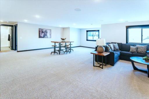 Lower Level Family Room & Flex Room