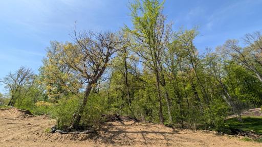 1884 Royal Boulevard N, Lake Elmo, MN 55042