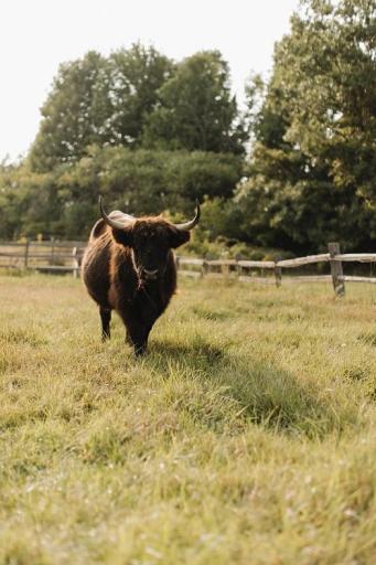 TBD 6 1/2 Avenue, Hillsdale, WI 54733