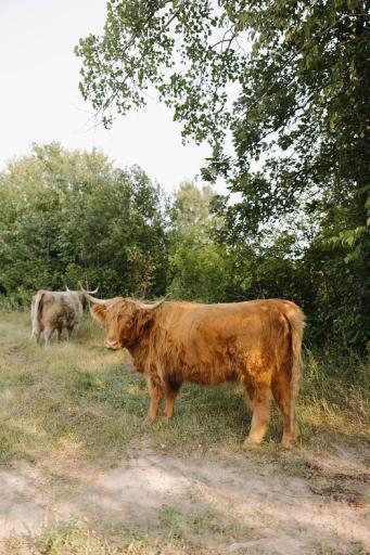 TBD 6 1/2 Avenue, Hillsdale, WI 54733