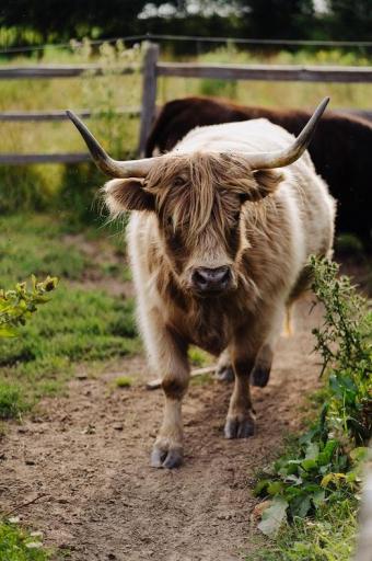 TBD 6 1/2 Avenue, Hillsdale, WI 54733